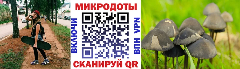 Псилоцибиновые грибы мухоморы  Купить  Данилов 